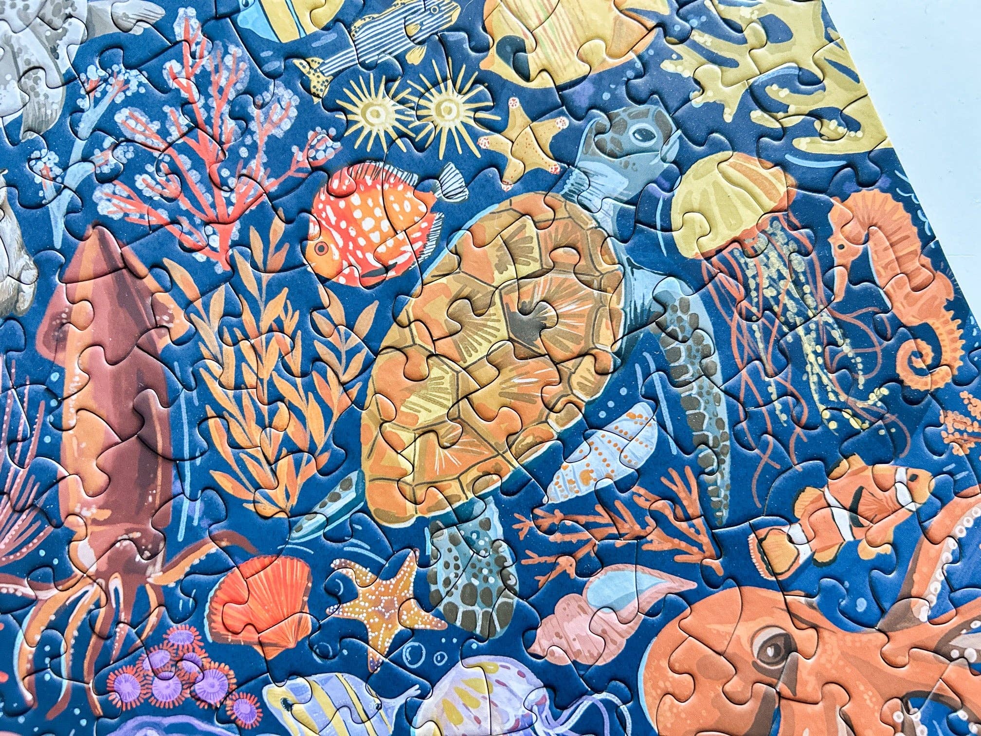 Ocean Creatures 500 Pc Puzzle