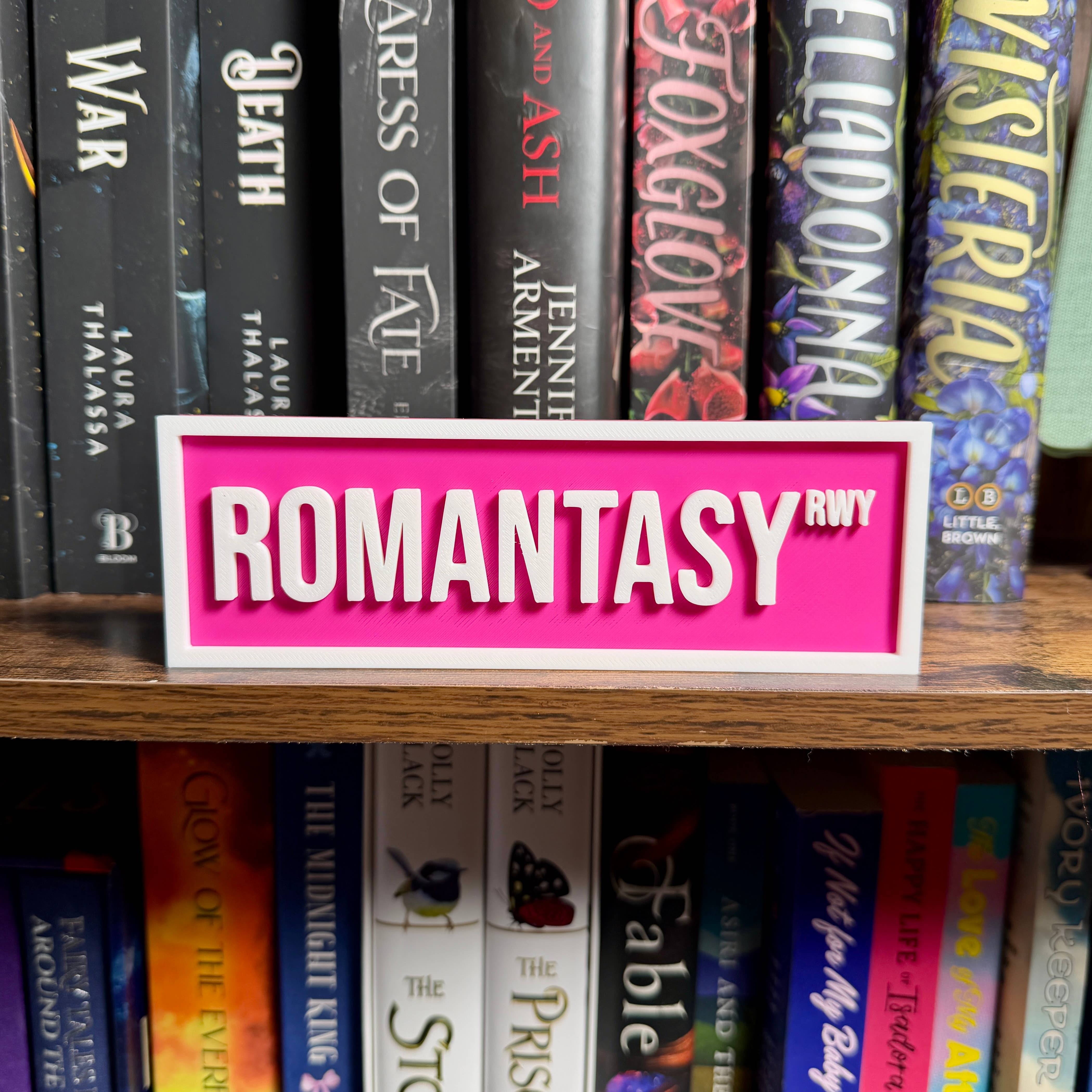 Romantasy Street Sign | Bookshelf Decor : Orange