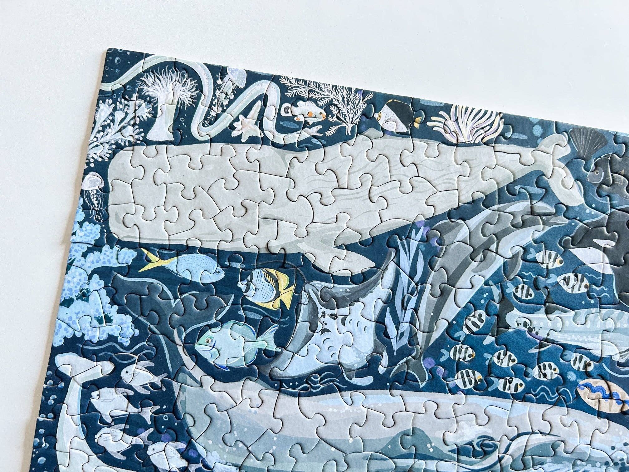 Ocean Creatures 500 Pc Puzzle