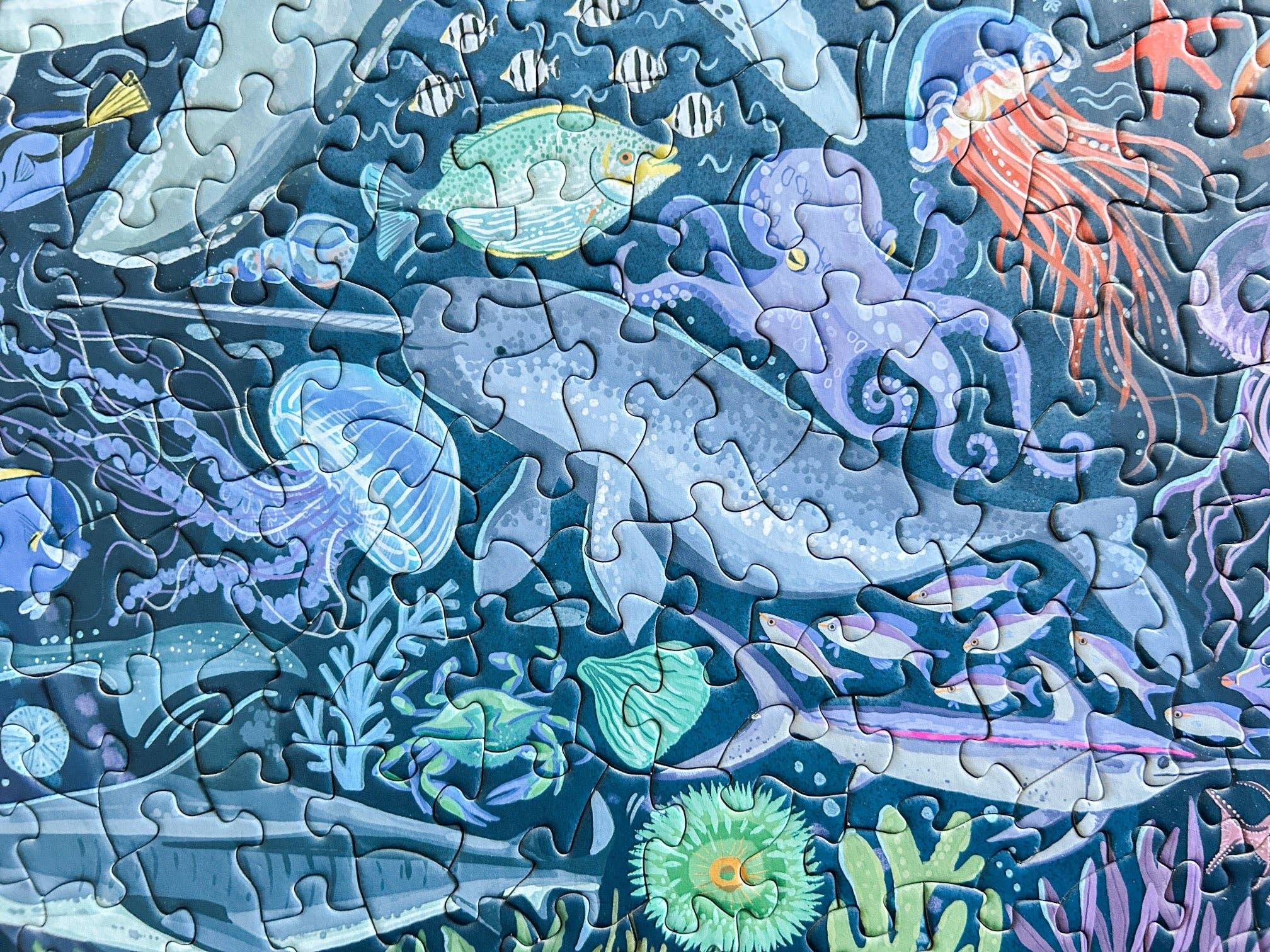 Ocean Creatures 500 Pc Puzzle