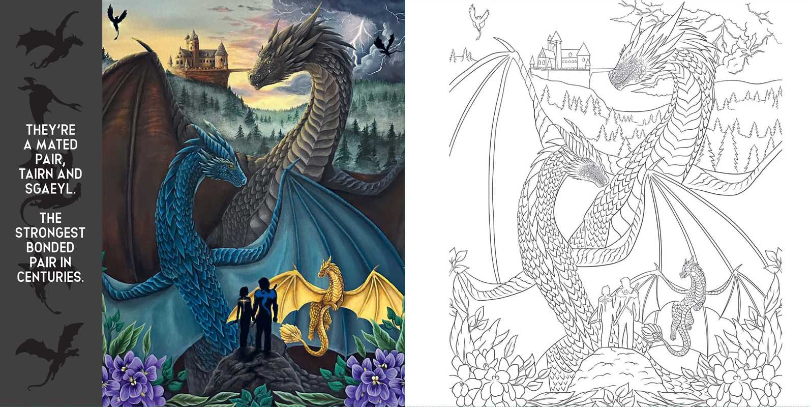 Fourth Wing: The Official Coloring Book by Entangled: Paperback; 96 pages / English
