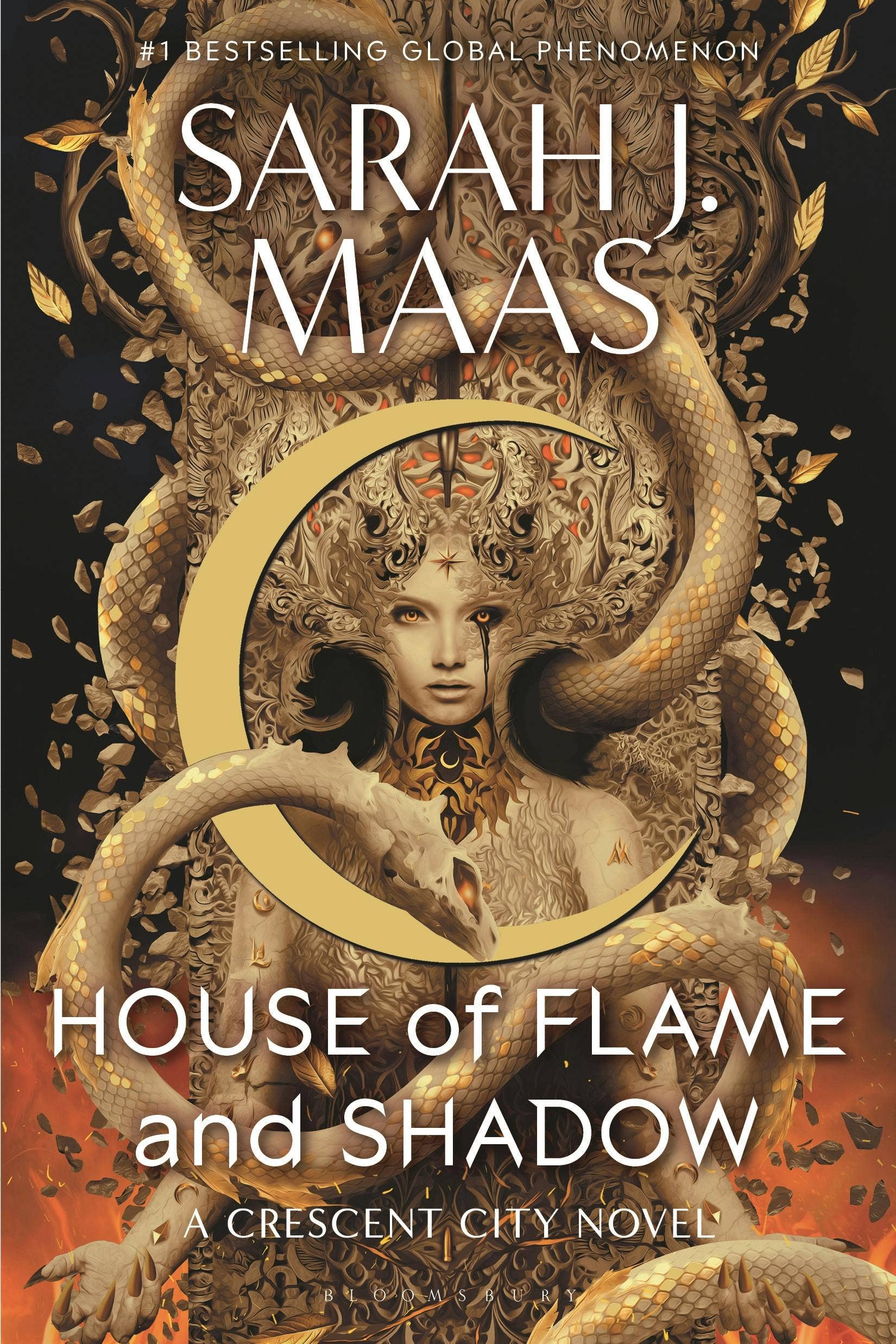 Flame And Shadow Paperback -Sarah J. Maas