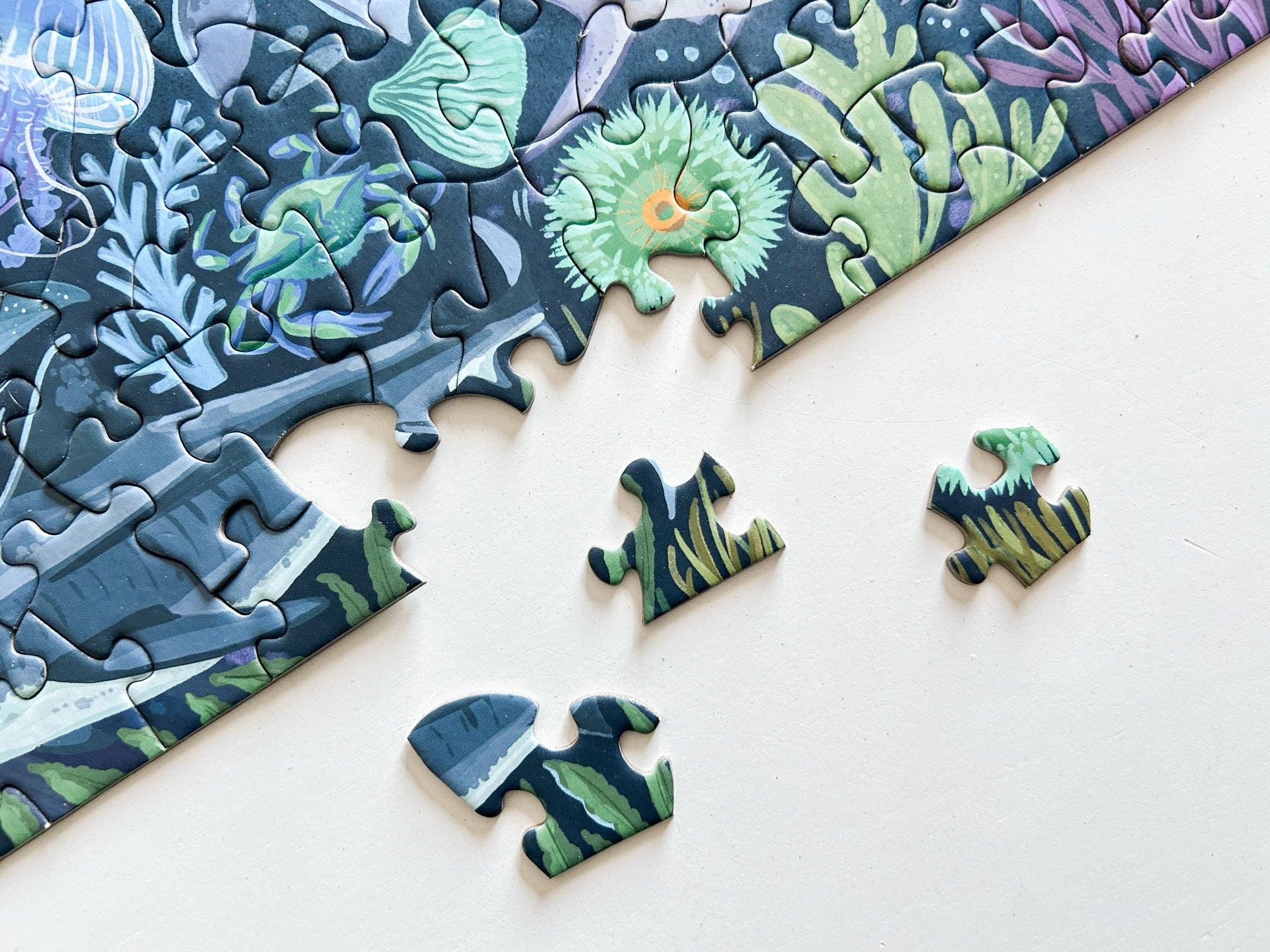 Ocean Creatures 500 Pc Puzzle