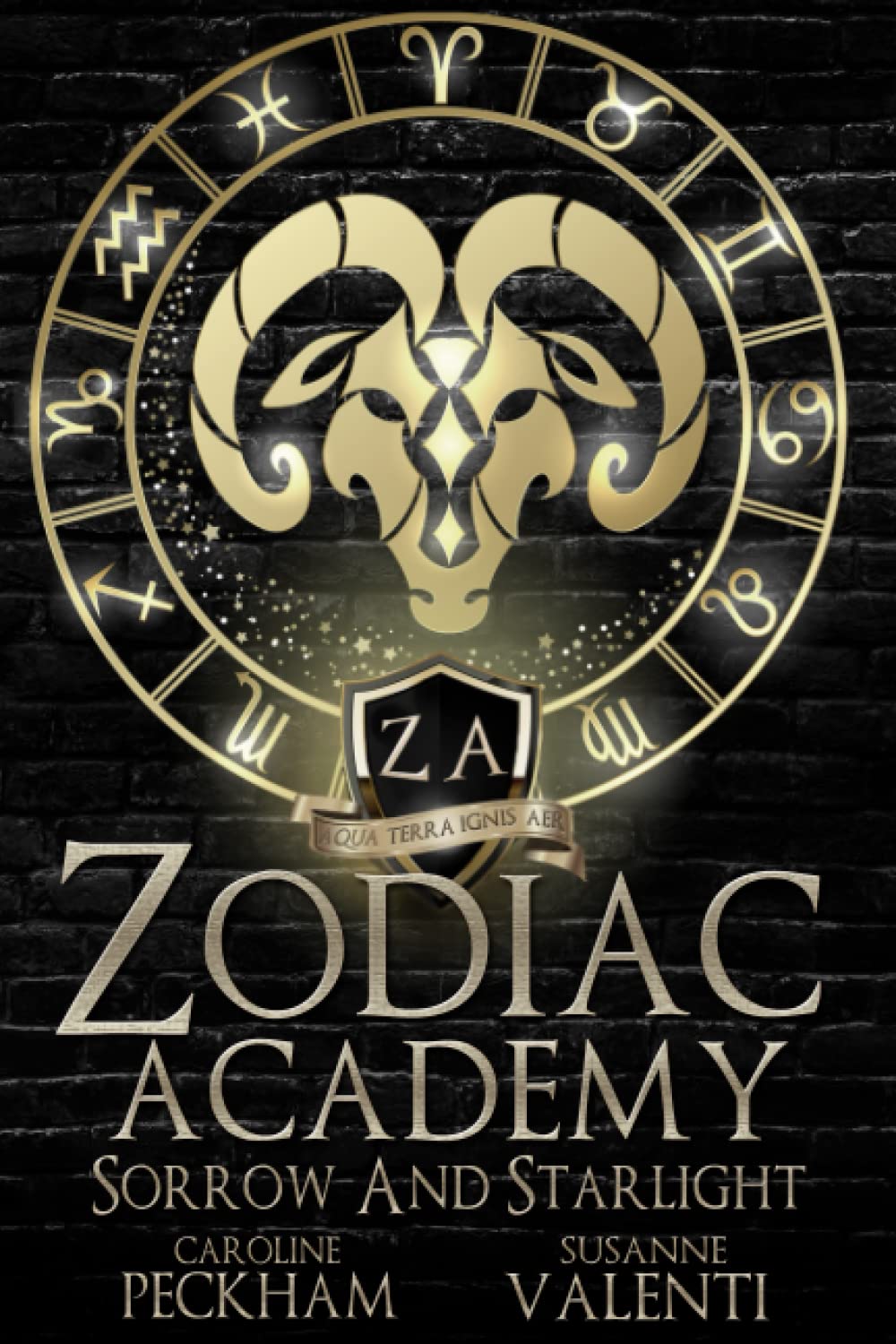 Zodiac Academy 8: Sorrow and Starlight*