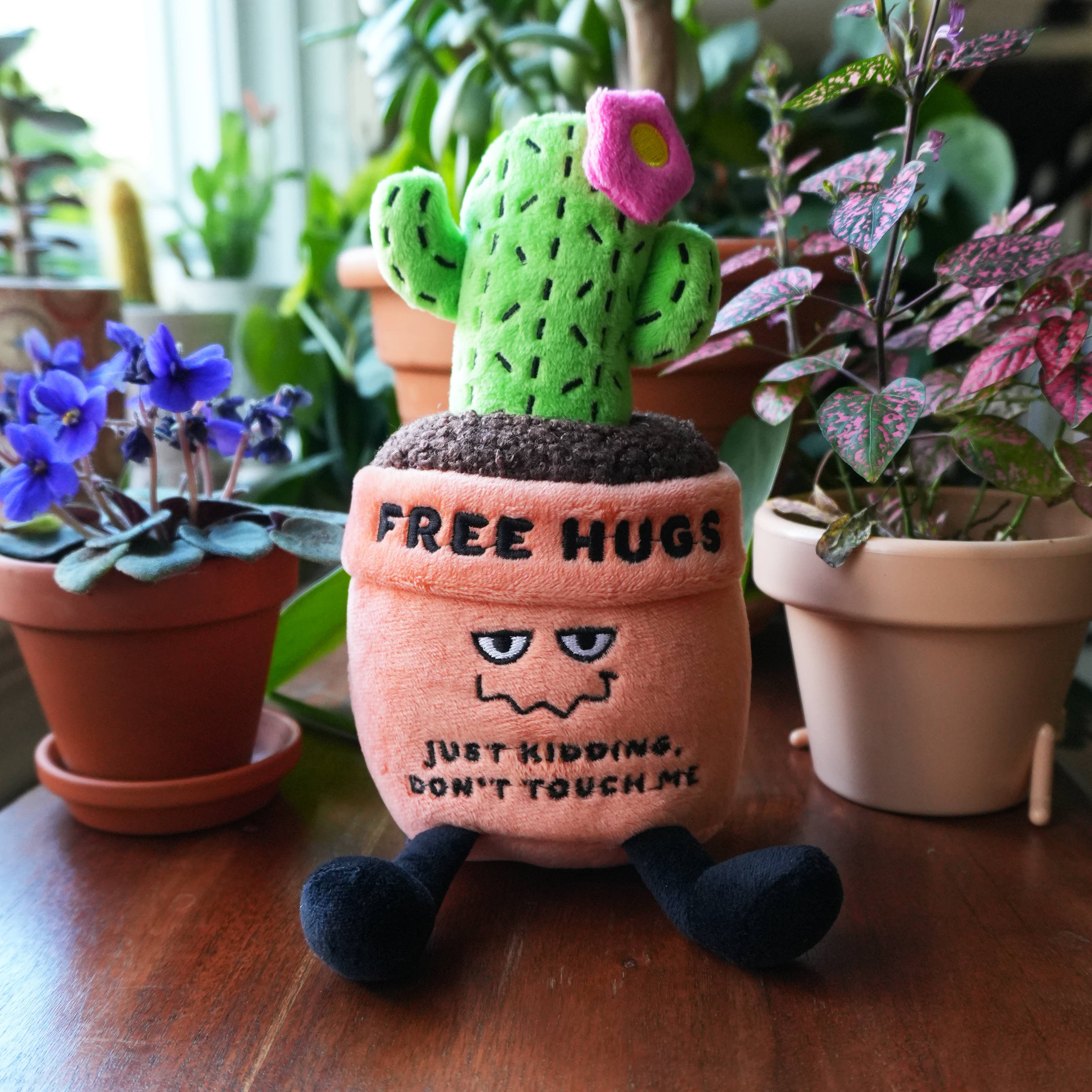 "Free Hugs"- Plush Cactus