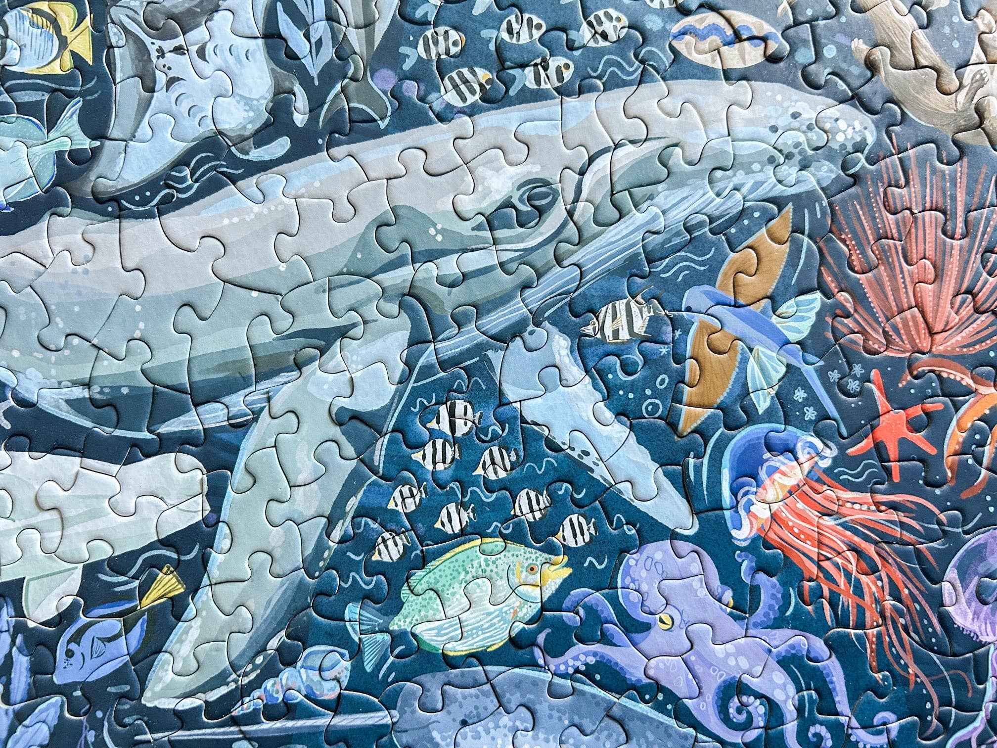 Ocean Creatures 500 Pc Puzzle