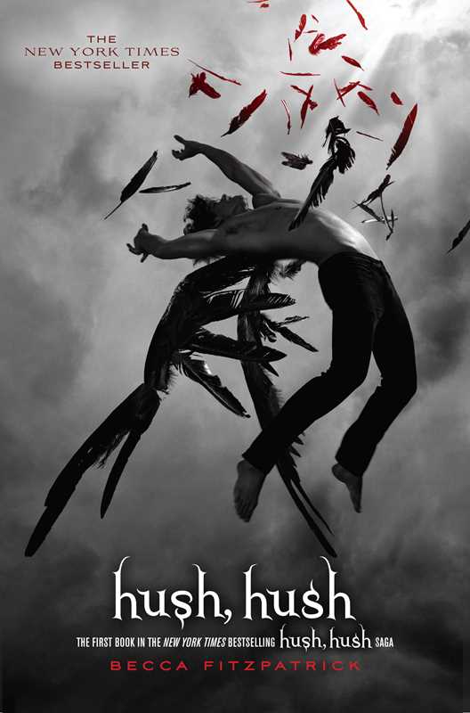 Hush, Hush by Becca  Fitzpatrick: Paperback; 432 pages / English