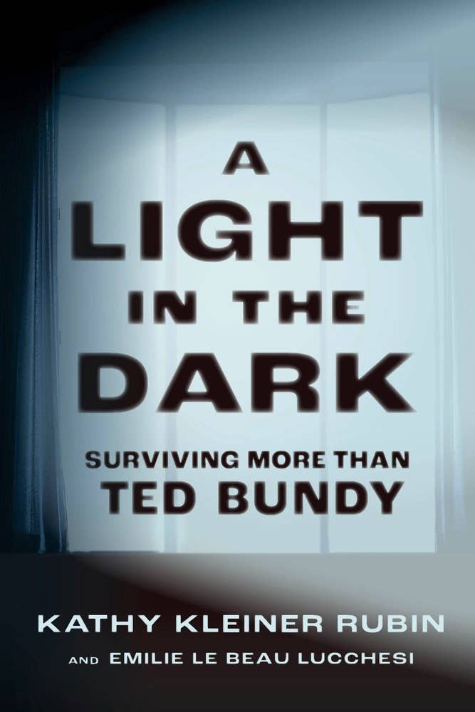 Light in the Dark: 6 x 9 x 0.70 / Paperback / 312