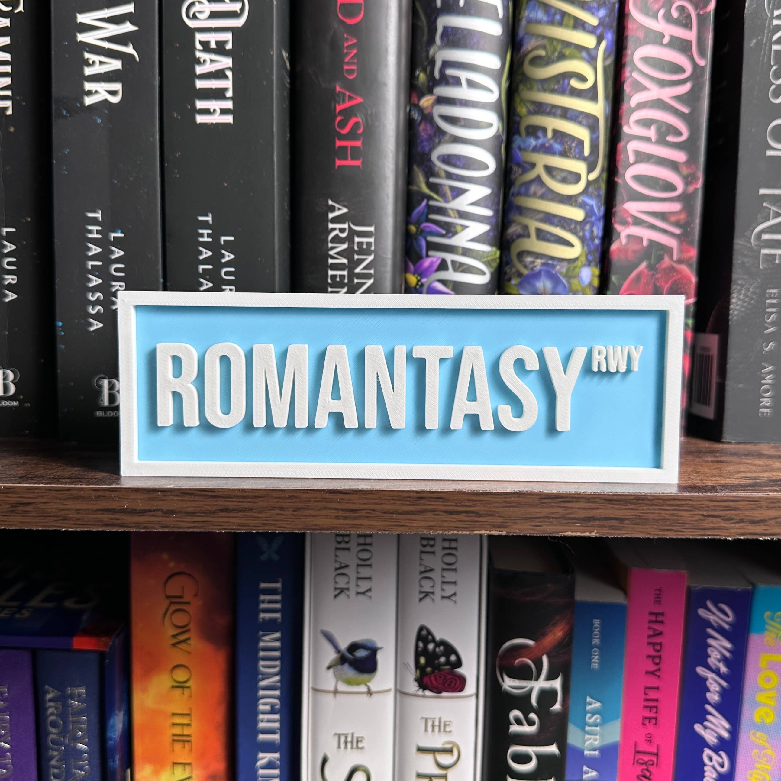 Romantasy Street Sign | Bookshelf Decor : Orange