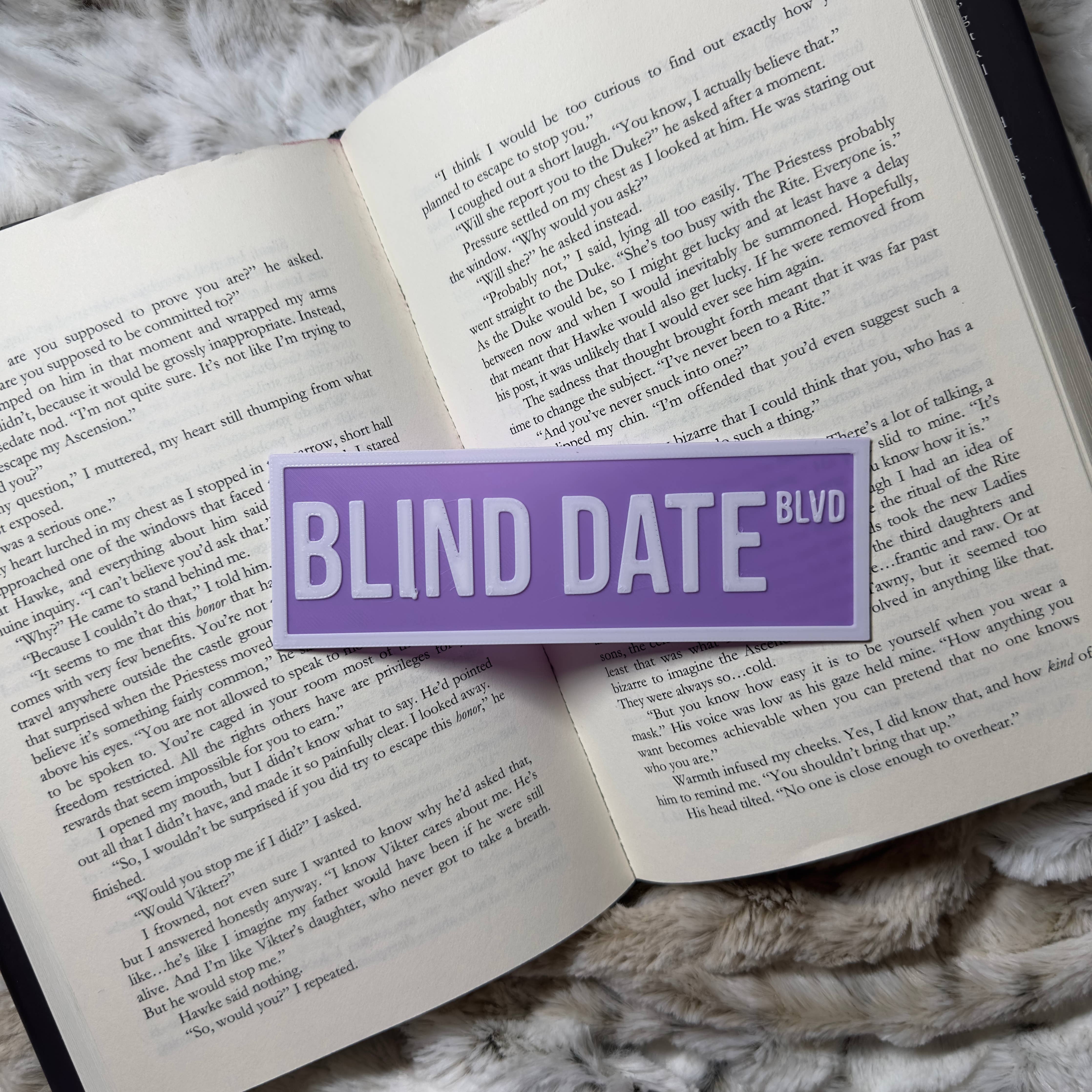 Blind Date Street Sign | Bookshelf Decor: Green