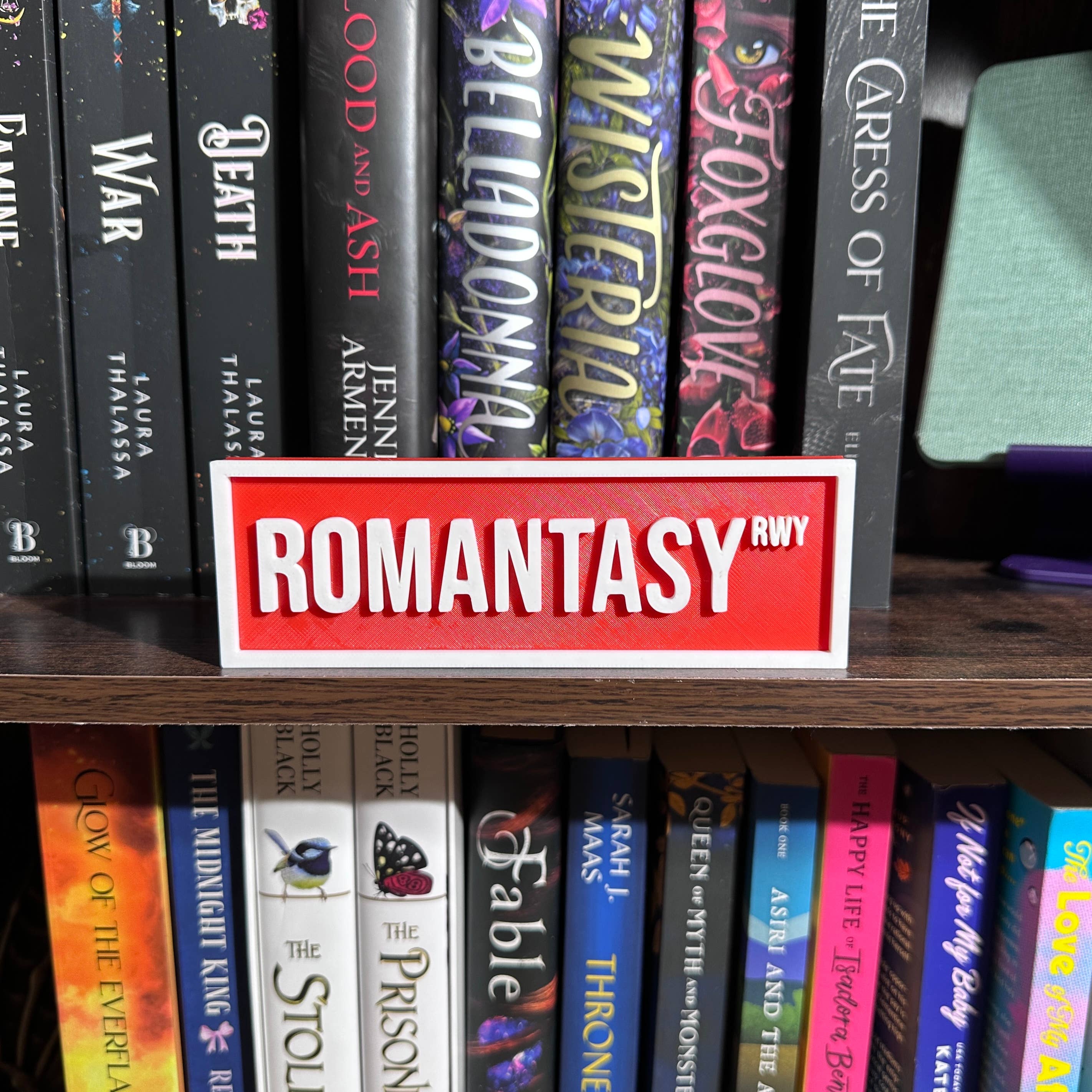 Romantasy Street Sign | Bookshelf Decor : Orange