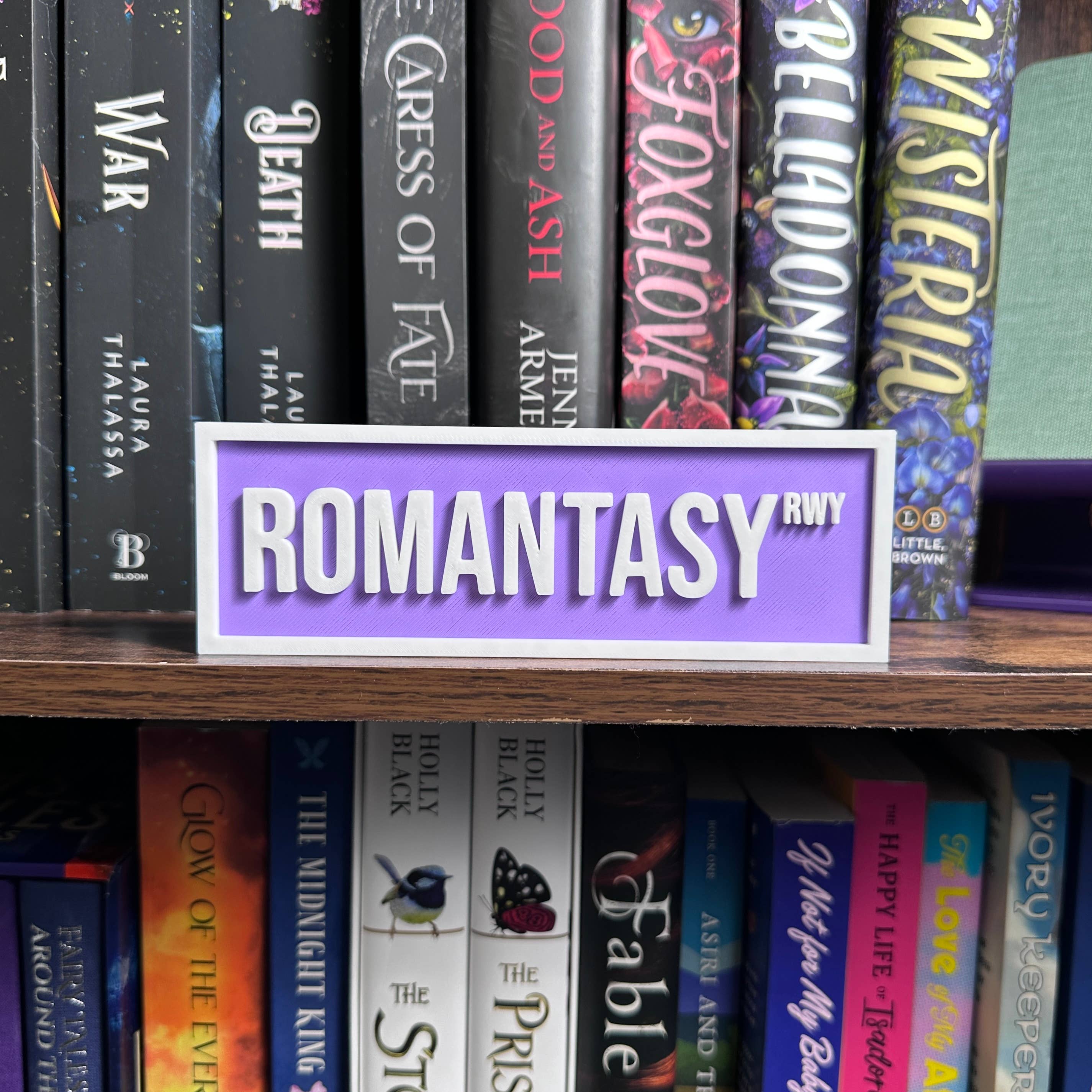 Romantasy Street Sign | Bookshelf Decor : Orange