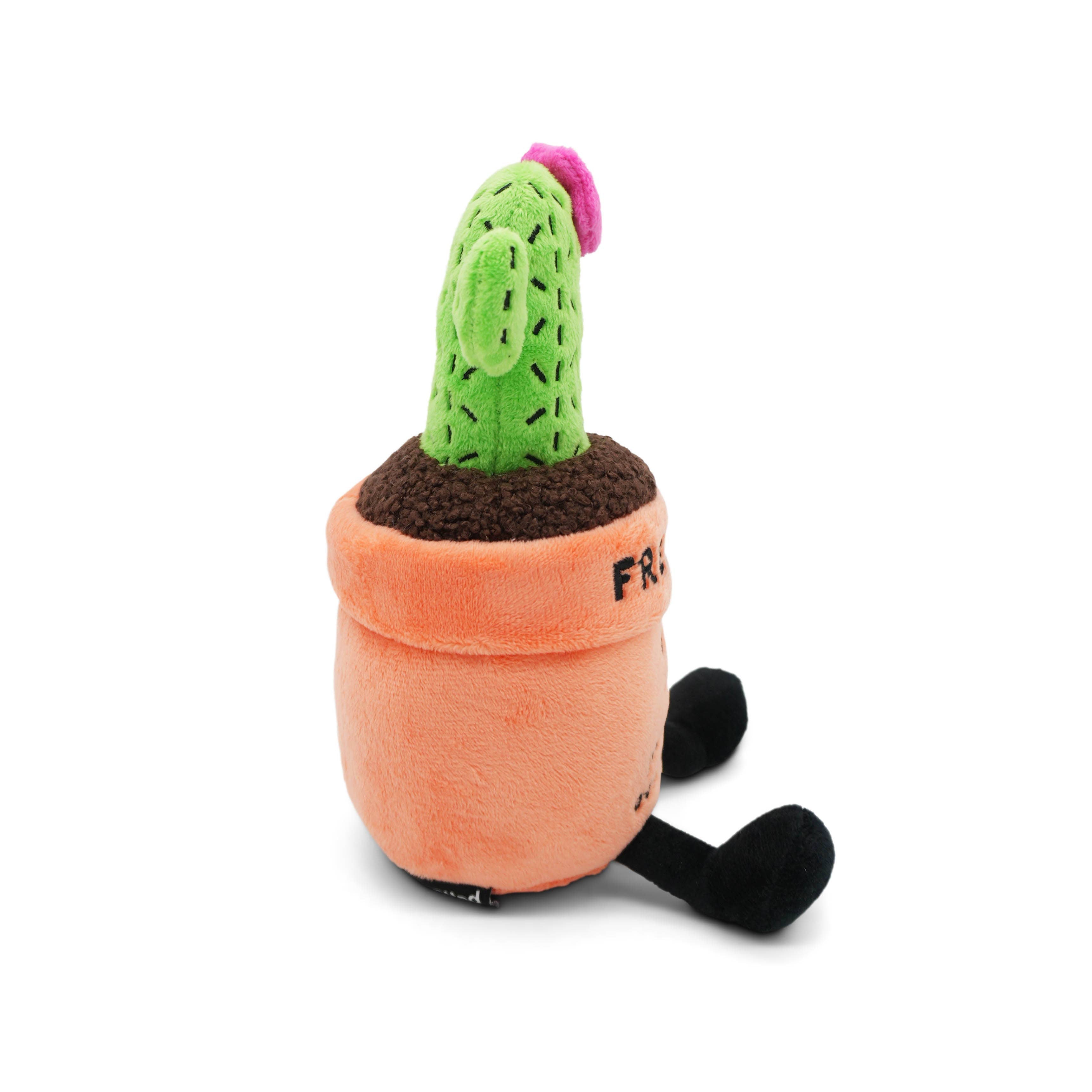 "Free Hugs"- Plush Cactus
