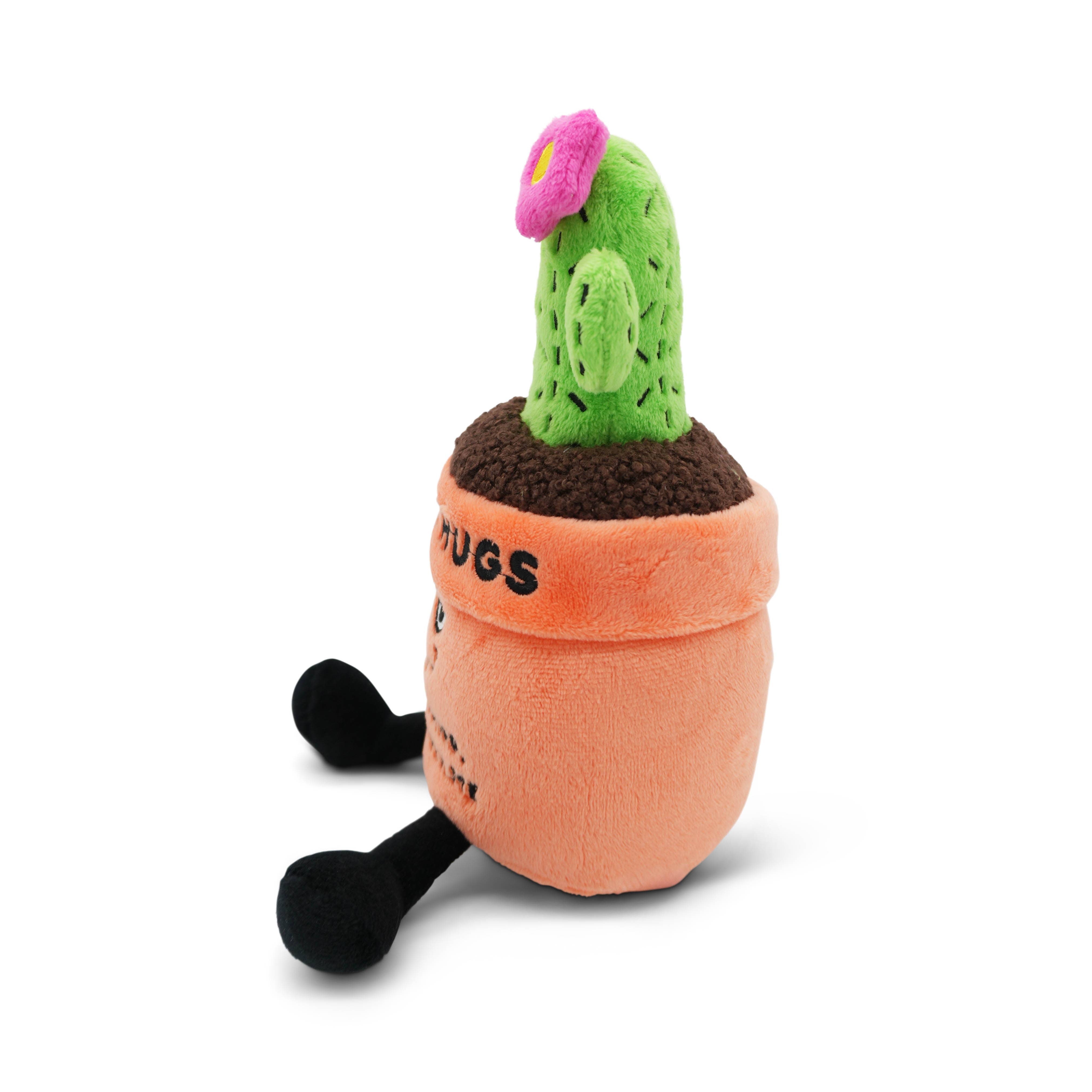 "Free Hugs"- Plush Cactus
